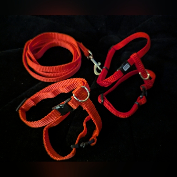 Harness and leash lot, 2 red adjustable quick harnesses, leash, Velcro vest Sz S - Picture 4 of 12